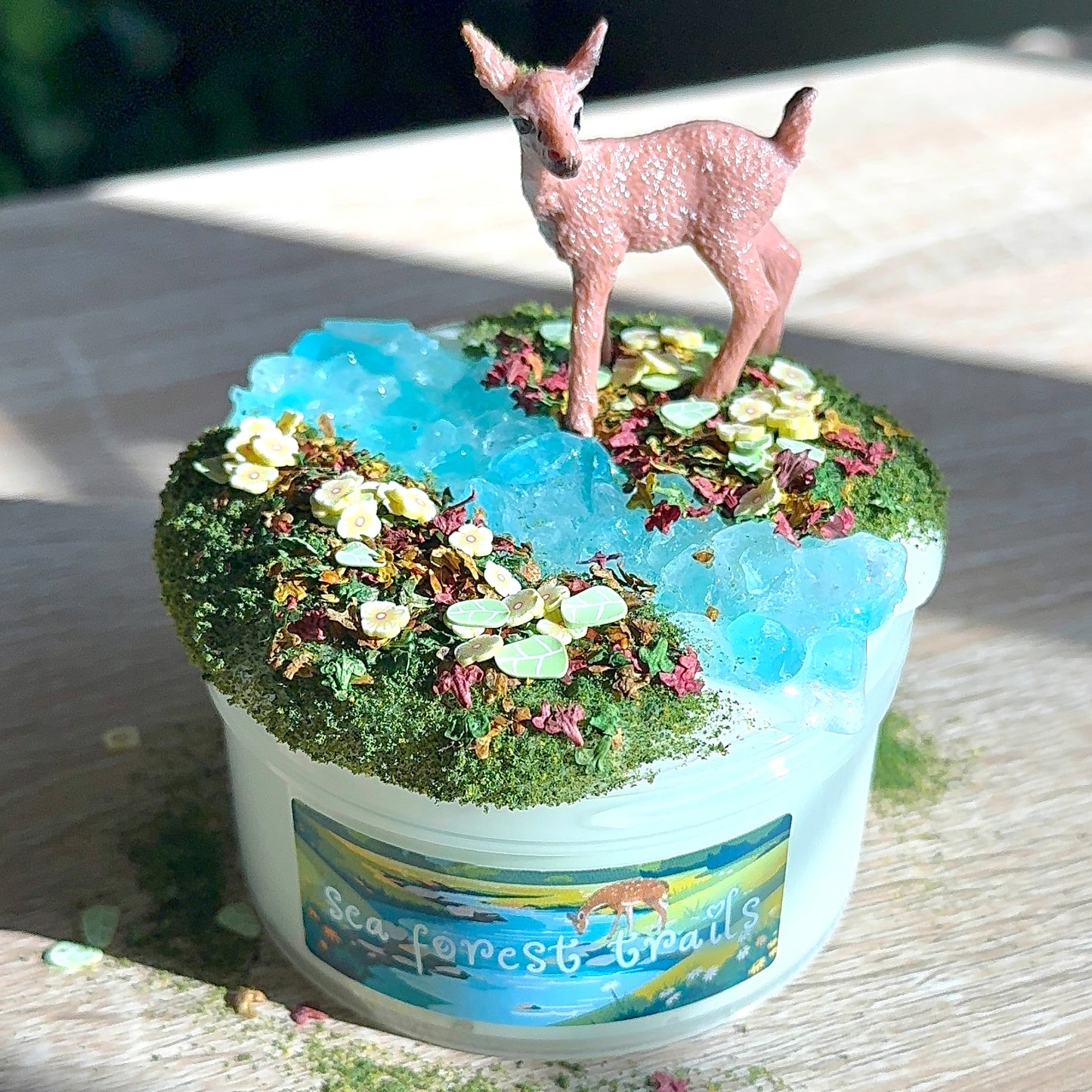 WHEN THE FOREST MEETS THE OCEAN (BUNDLE)