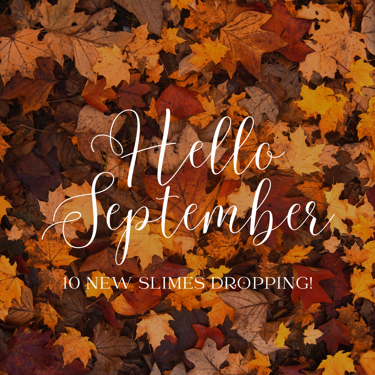 HELLO SEPTEMBER (BUNDLE)